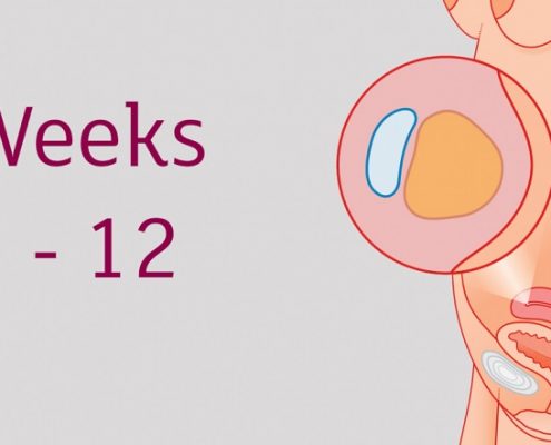 آزمایش غربالگری ۳ ماهه اول بارداری